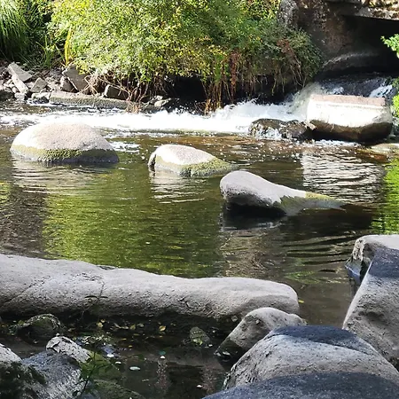 Apartament Les Lavandes