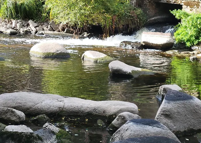 Apartment Les Lavandes